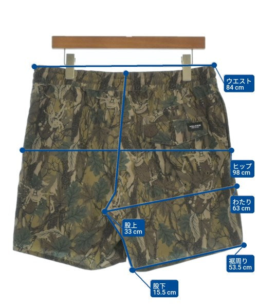 VOLCOM Shorts